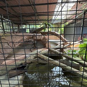 Reticulated Python Exhibit #2