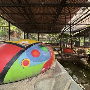 Green Anaconda Exhibit