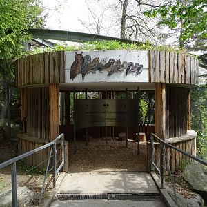 Owl observation cabin