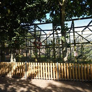 Vervet monkey habitat 030924