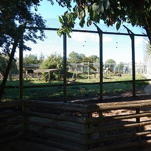 Tiger habitat 030924