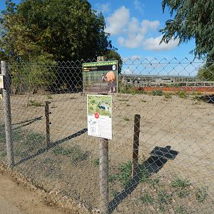 Mixed habitat 030924
