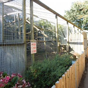 Caracal habitat 030924