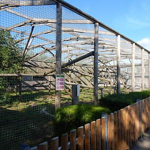 Jaguar habitat 030924