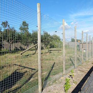 South African cheetah habitat 030924