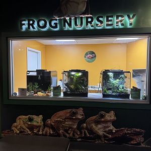 Frog Nursery