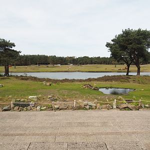 Bird show area and Car safari Asian Plains exhibit, seen from walking safari across safari boat canal, 2024-04-06