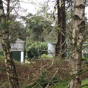 Show bird and Off-show aviaries, 2024-04-06