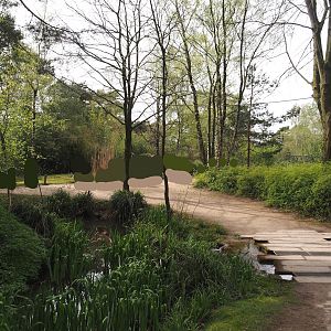Ring-tailed lemur and Red ruffer lemur walk-through area, 2024-04-06