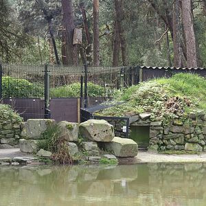 African penguin holding area, 2024-04-06