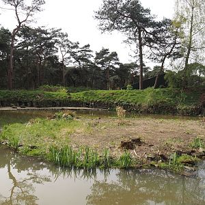 African penguin exhibit, 2024-04-06
