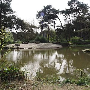African penguin exhibit, 2024-04-06