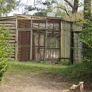 African aviary bird house and separation aviaries, 2024-04-06