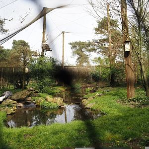 African aviary, 2024-04-06