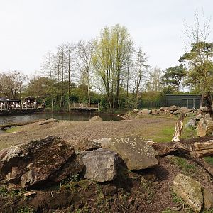 Hippopotamus, Western sitatunga and Marabu exhibit, 2024-04-06