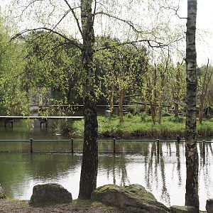 L'Hoëst's monkey island, seen across the hippopotamus exhibit, 2024-04-06