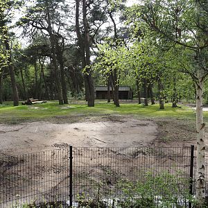 Persian gazelle paddock, 2024-04-06