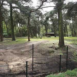 Persian gazelle paddock, 2024-04-06