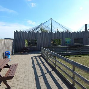 Common squirrel monkey exhibit 030964