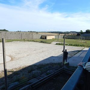 African Savannah exhibit 030964