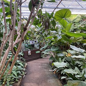 View towards dart frog exhibit 050924