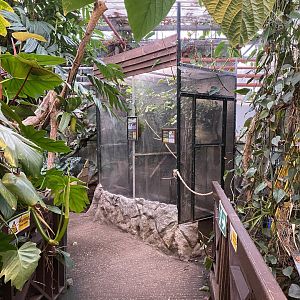 View towards invert exhibits 050924