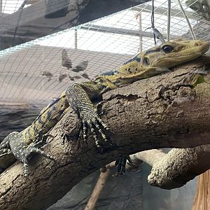 Mindanao water monitor 050924