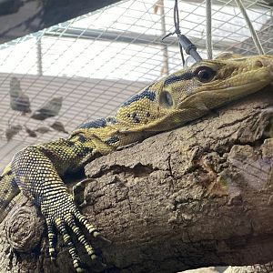 Mindanao water monitor 050924