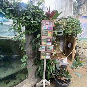 Signage for Green iguana/fish exhibit 050924