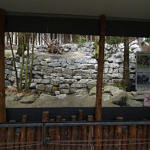 Capercaillie aviary