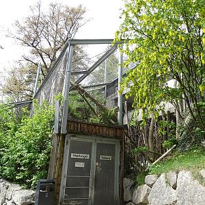 Entrance to woodland aviary (lower level)