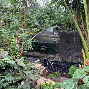 View towards centre aquatic exhibit 050924