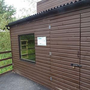 Ring-tailed Coati house, 3rd September 2024