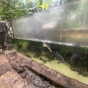 Centre aquatic exhibit 050924