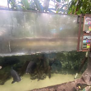 Centre aquatic exhibit 050924