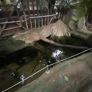 Mixed aquatic exhibit 050924