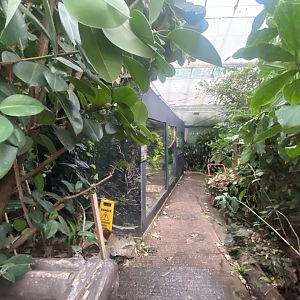 View towards snake exhibits 050924