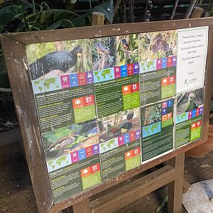 Freeroaming inhabitants 050924