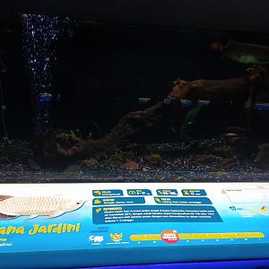 Northern saratoga information panel