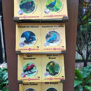 Lory aviary species information panel part 1