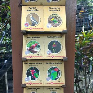 Lory aviary species information panel part 2