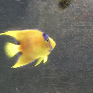 ID? - Biomes Marine Biology Center