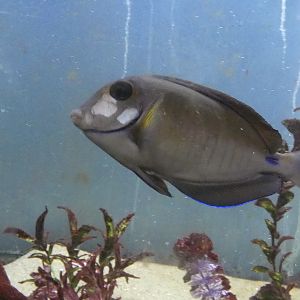 ID? - Biomes Marine Biology Center