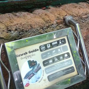 Sand goanna (Varanus gouldii) information panel