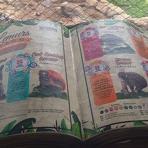 Lemur aviary information panel