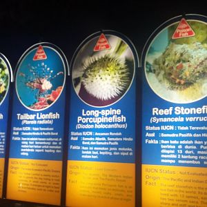 Aquarium species panel 2