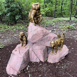 New Baboon Sculpture