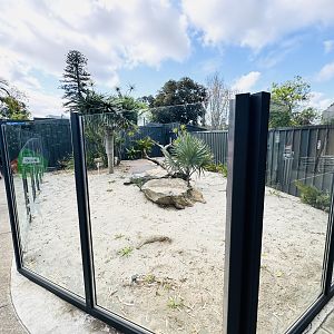 Komodo Dragon outdoor section