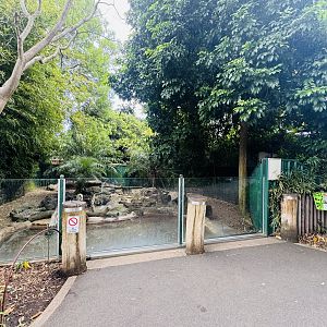 Asian Small-clawed otter enclosure
