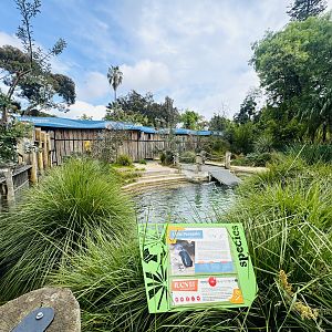 Entrance little penguin enclosure